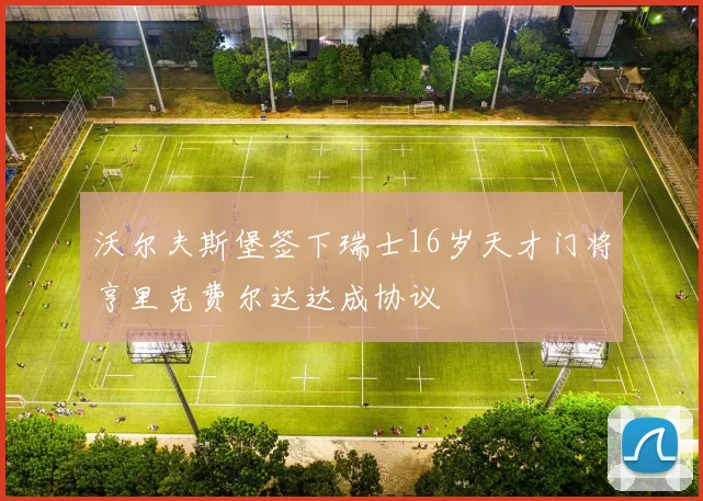 沃尔夫斯堡签下瑞士16岁天才门将亨里克费尔达达成协议